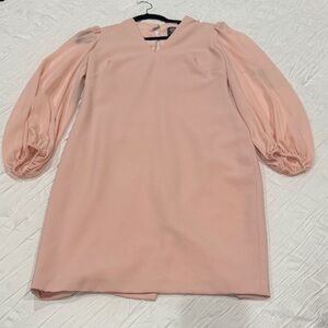 Vince Camuto Blush Long Sleeve Dress